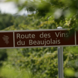 Bonnes adresses en Beaujolais